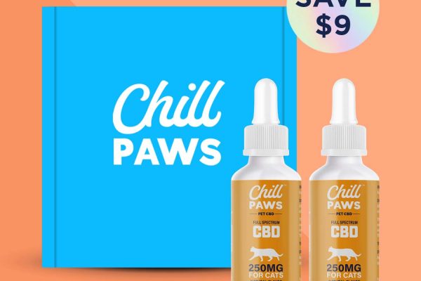 The Benefits of CBD Oil for Your Cat’s Dental Pain