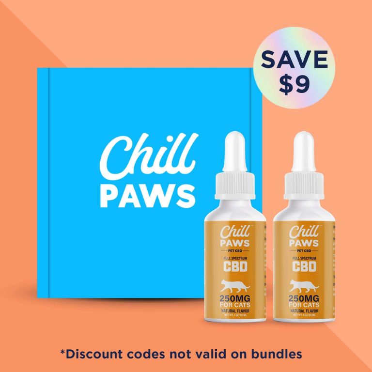 The Benefits of CBD Oil for Your Cat’s Dental Pain